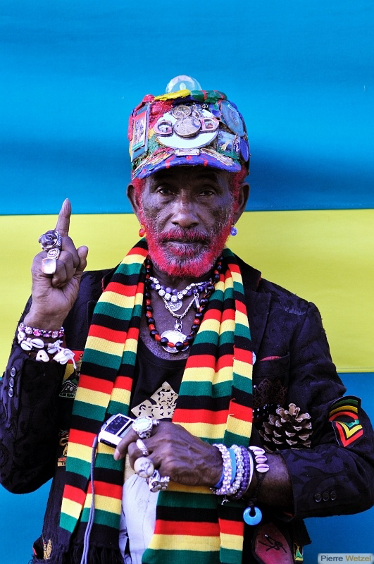 free-music-festival-2011-photographe-pierre-wetzel-bordeaux