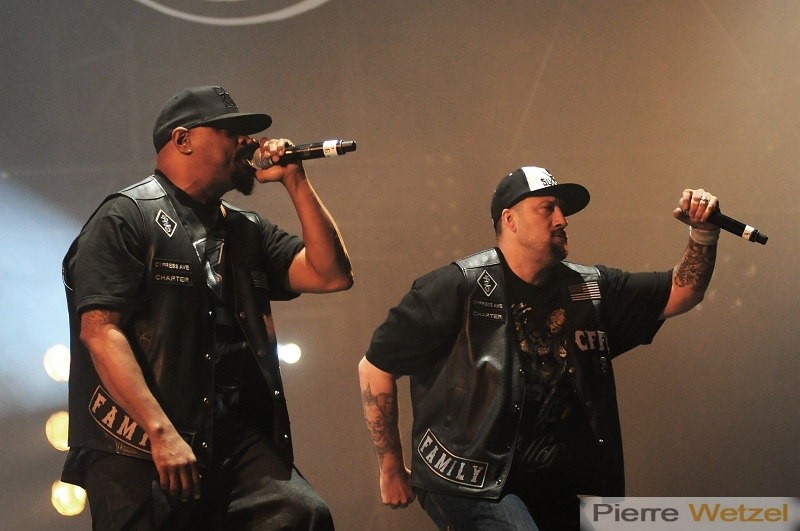 vieilles-charrues-bordeaux-photographe