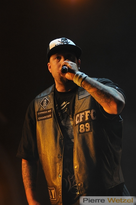 vieilles-charrues-bordeaux-photographe