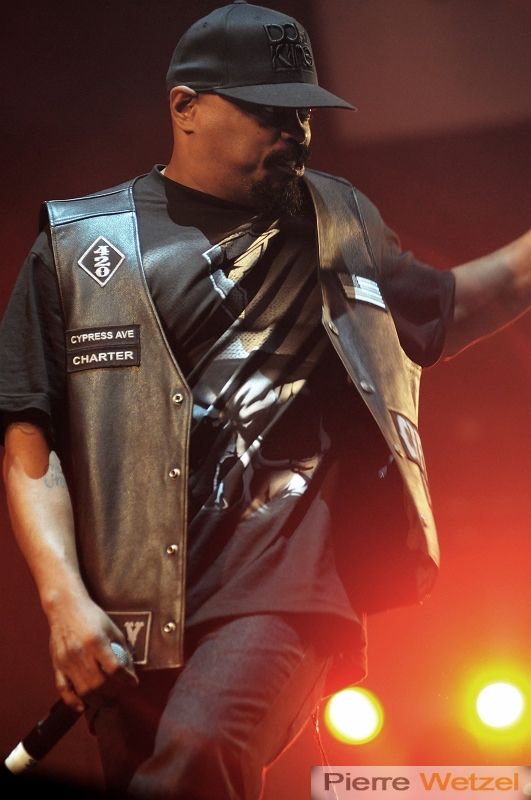 vieilles-charrues-bordeaux-photographe