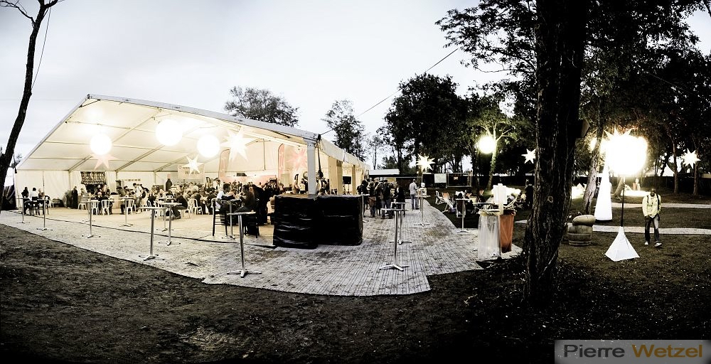 reggae-sun-ska-2011-photographe-concert-bordeaux