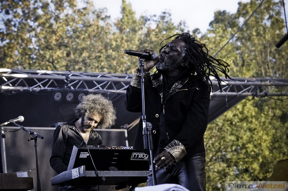 reggae-sun-ska-2011-photographe-concert-bordeaux