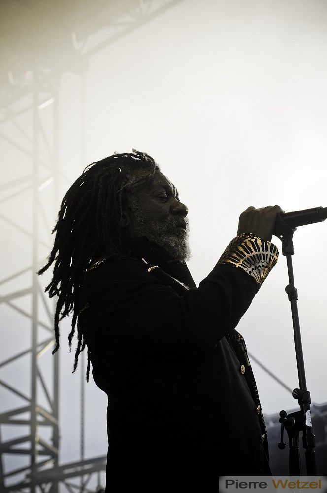 reggae-sun-ska-2011-photographe-concert-bordeaux