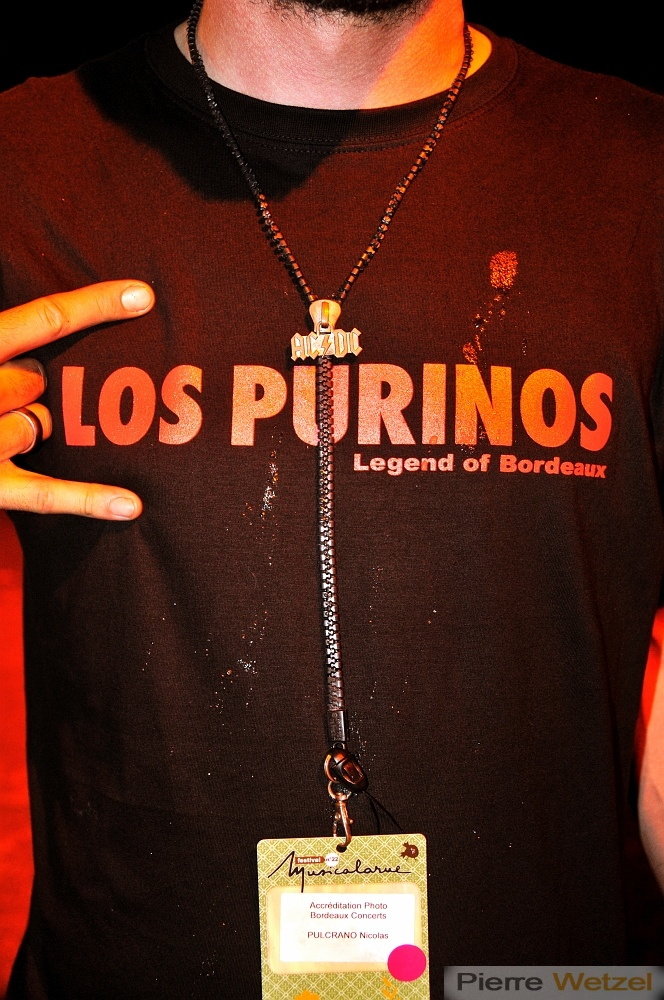 musicalarue-2011-photographe-concert-pierre-wetzel