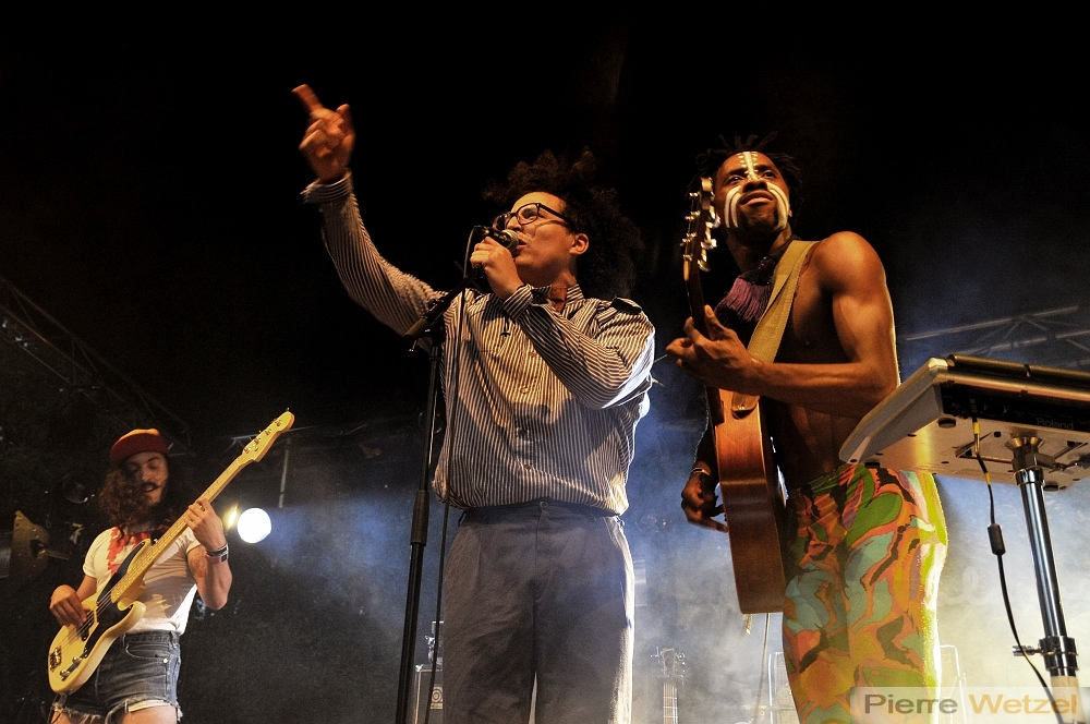 musicalarue-2011-photographe-concert-pierre-wetzel